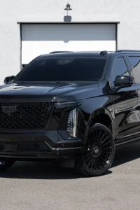 Limousine black car service